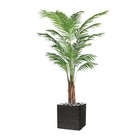Palmier areca artificiel h 180 cm sur tronc en pot - dimhaut: h 180 cm - couleur