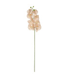 Orchidée rose artificielle sur tige h 108 cm