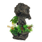 Décoration rocher gris + plantes13 x 12 x h 21cm, aquarium.