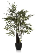 Bambou zen artificiel 5 cannes noires 180cm 1600 feuilles - dimhaut: h 180 cm - couleur: vert
