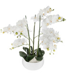 Plante artificielle orchidée dans pot en céramique blanche h 62 cm