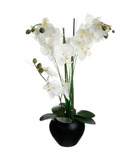 Plante artificielle orchidée dans un pot en céramique noire h 53 cm