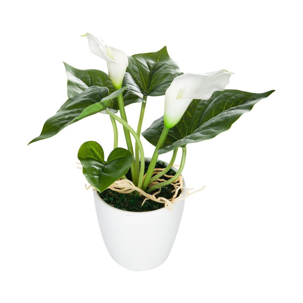 Cactus En Fil Crocheté Rose - Plante Artificielle Faite Main, Pot Inclus, 14,5 Cm, Cadeau Déco Mignon - 8