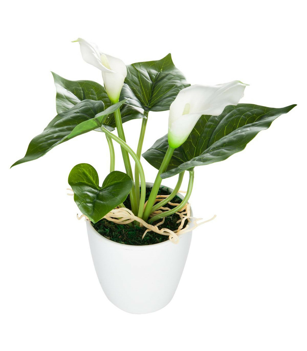 Plante artificielle fleurs blanches en pot h 18 cm