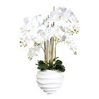 Orchidée faux vase résine blanc h105cmd75cm 7 hampes touché réel-crème