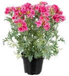 Verveine fleurie artificielle et feuillage en pot, h28 cm rose soutenu - couleur: rose soutenu