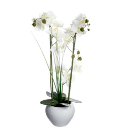 Plante artificielle orchidée dans un pot en céramique blanche  h 53 cm