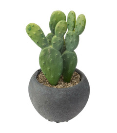 Plante artificielle cactus en pot d 6 cm