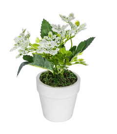 Plante artificielle fleurs blanches en pot h 16 cm