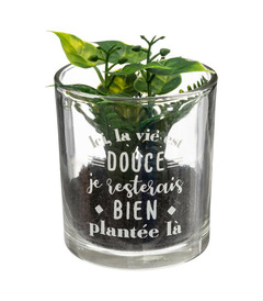 Plante artificielle dans pot en verre avec message d 7 et h 8 cm