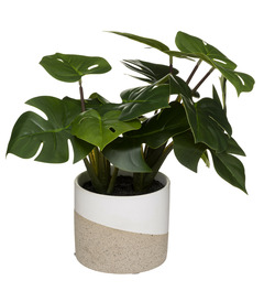 Plante artificielle monstera dans pot en céramique bicolore h 28 cm