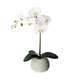 Plante artificielle orchidée dans pot en céramique h 50 cm