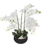 Plante artificielle orchidée dans pot en céramique noire h 62 cm