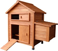 Maison des poules en bois