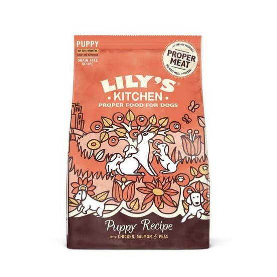 LILYS KITCHEN CROQUETTES SAN 9-(810063)