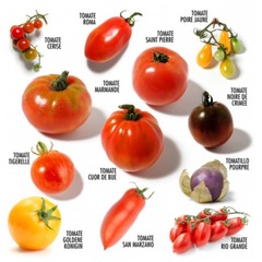 Coffret : je fais pousser mes 12 tomates anciennes