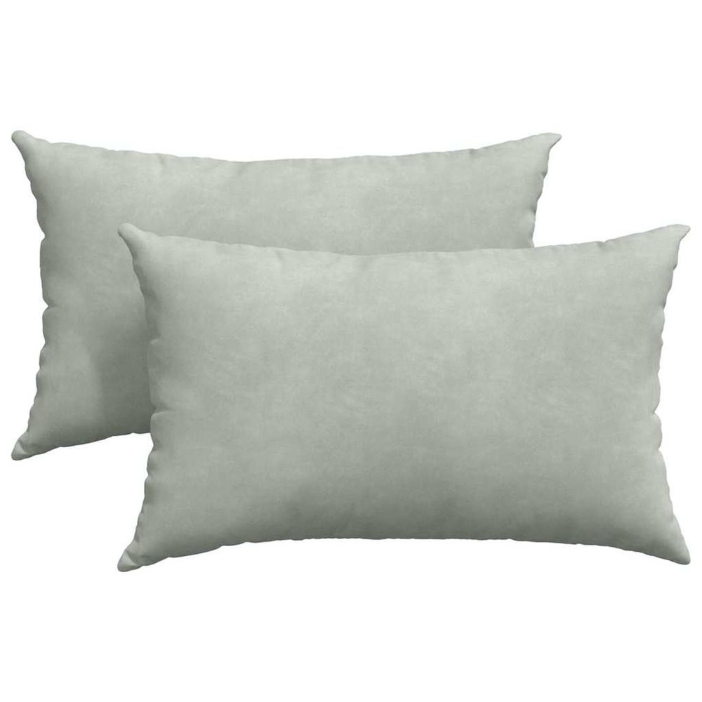 Coussins de canapé 2 pcs gris clair 50 x 30 cm