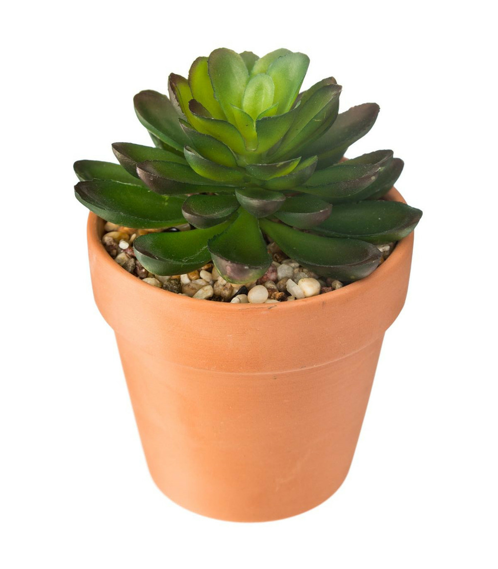 Plante artificielle succulente en pot terracotta
