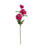 Fleur artificielle tige anémone 3 têtes rose fuchsia h 69 cm