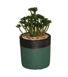 Plante artificielle dans un pot en ciment bicolore