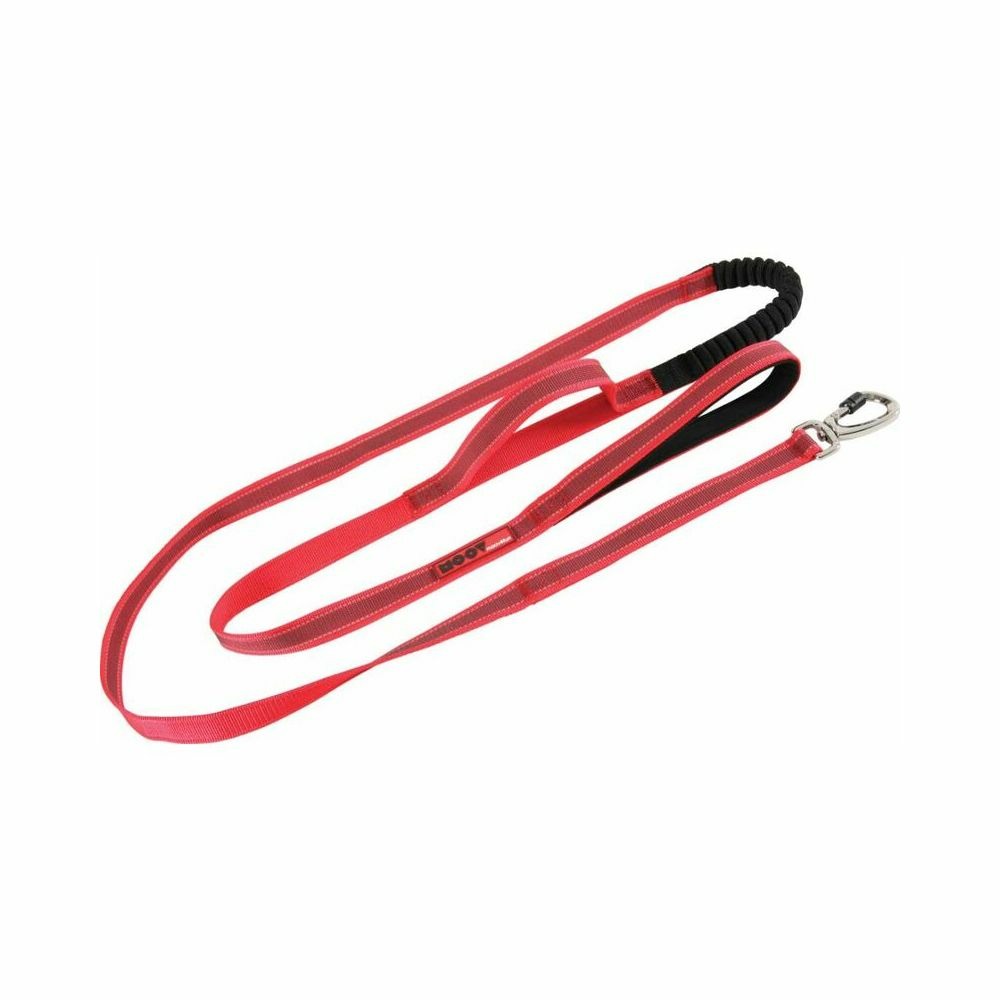 Laisse chien spéciale randonnée moov