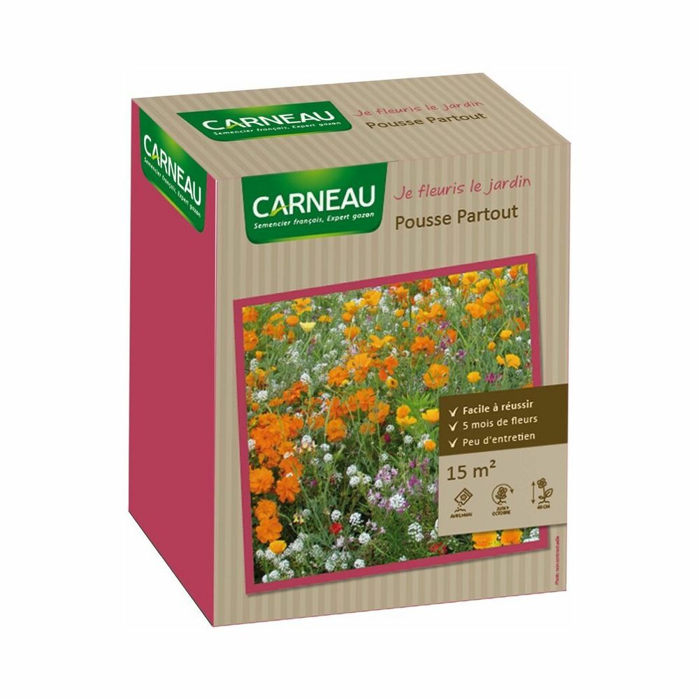 Ah361 Ceji Fleurs 2000 G.truffaut Modele Senior Jouet Scient 125 Ah361 Ceji Fleurs 2000 G.truffaut Modele Senior Jouet Scient 125