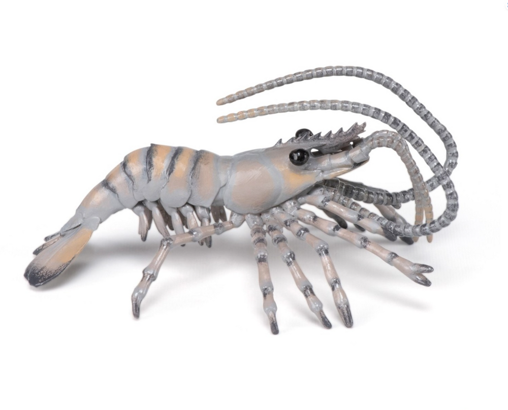 Figurine crevette