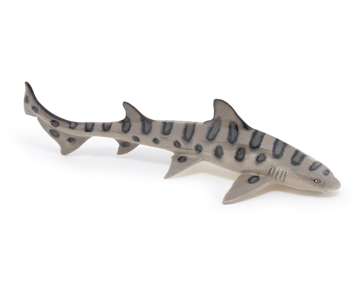 Figurine requin léopard