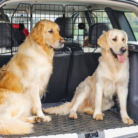 Grille séparation chien voiture acier coffre réglable pliable 93-150cm noir - comfortxl pet living