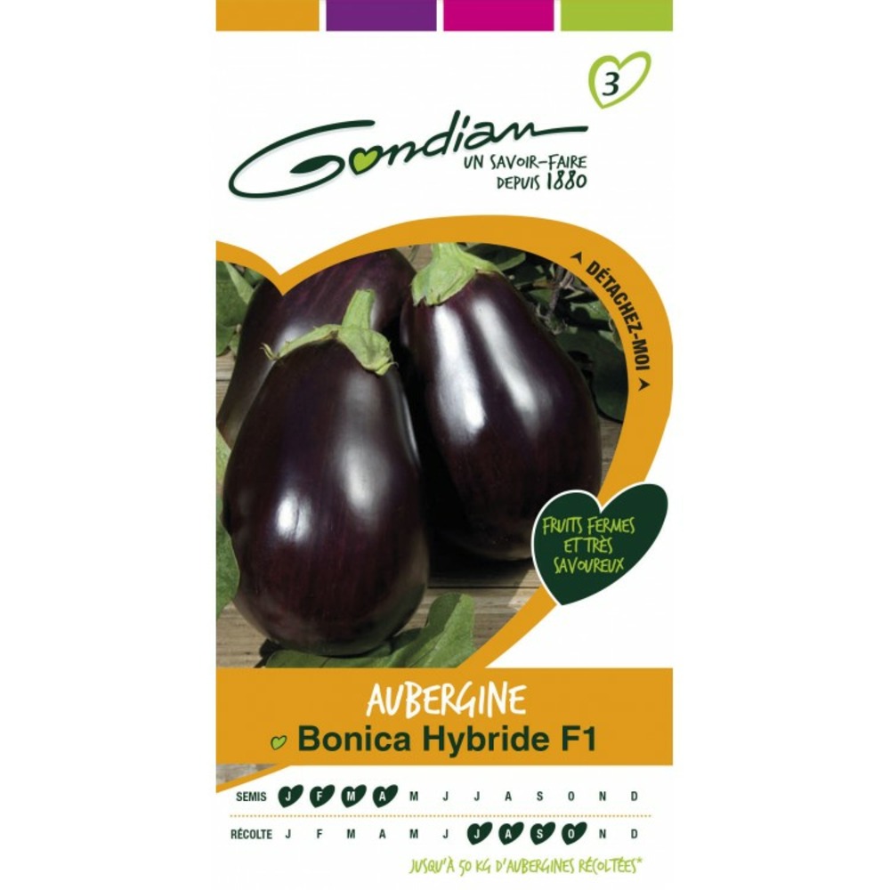 Aubergine bonica hybride f1