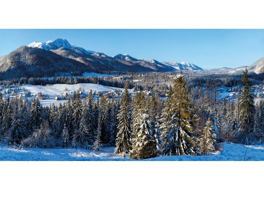 Toile de fond de noël en tissu montagne enneigée - 300 x 150 cm