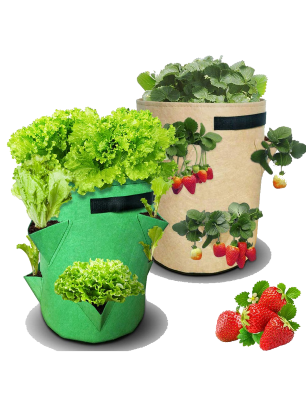 Sac planteur pour fraisiers ou salades