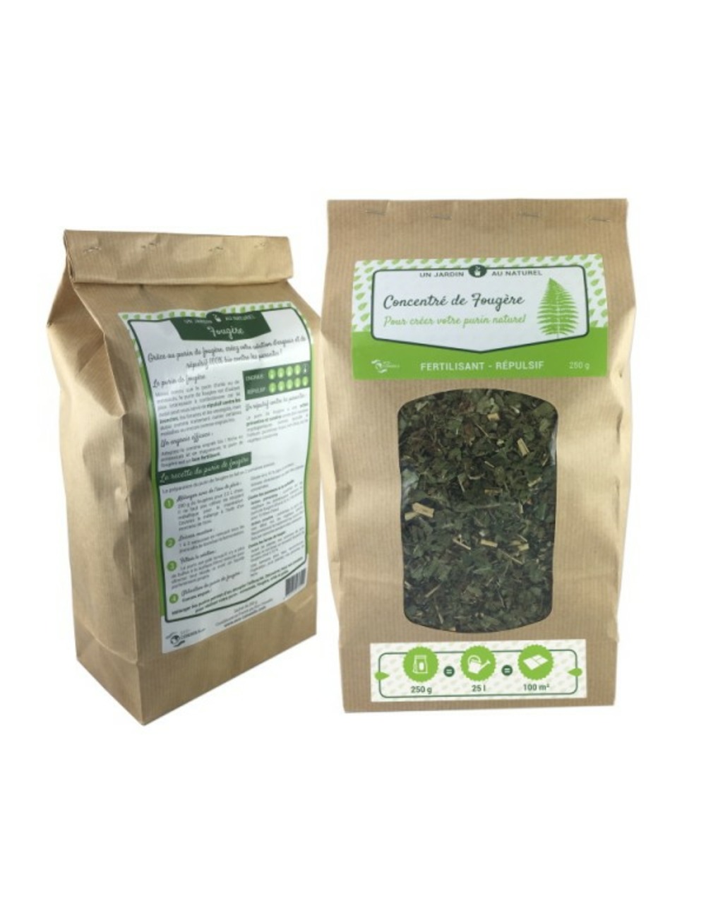 Concentré de fougère