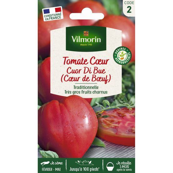 Tomate cuor di bue (cœur de bœuf)