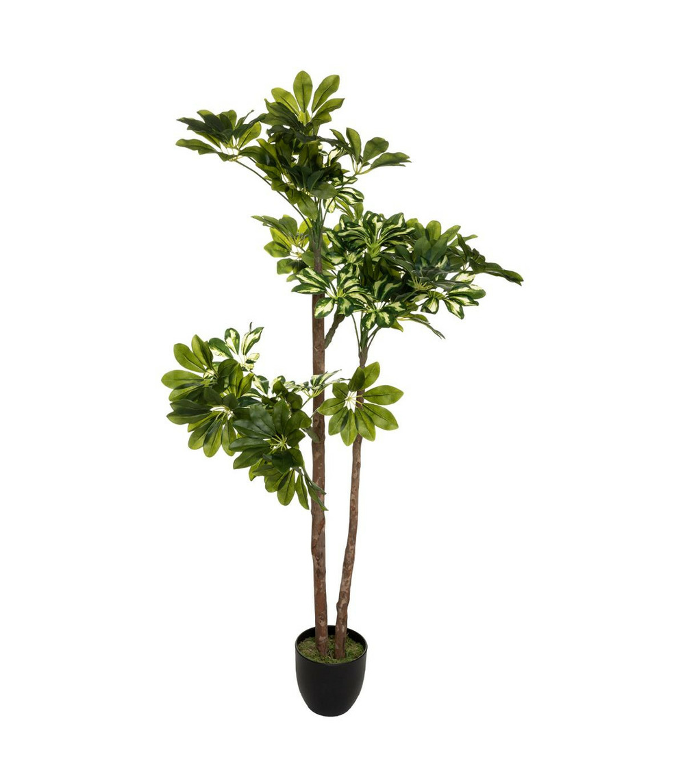 Plante artificielle schefflera en pot h 135 cm