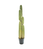 Plante artificielle cactus pin dans son pot h 185 cm