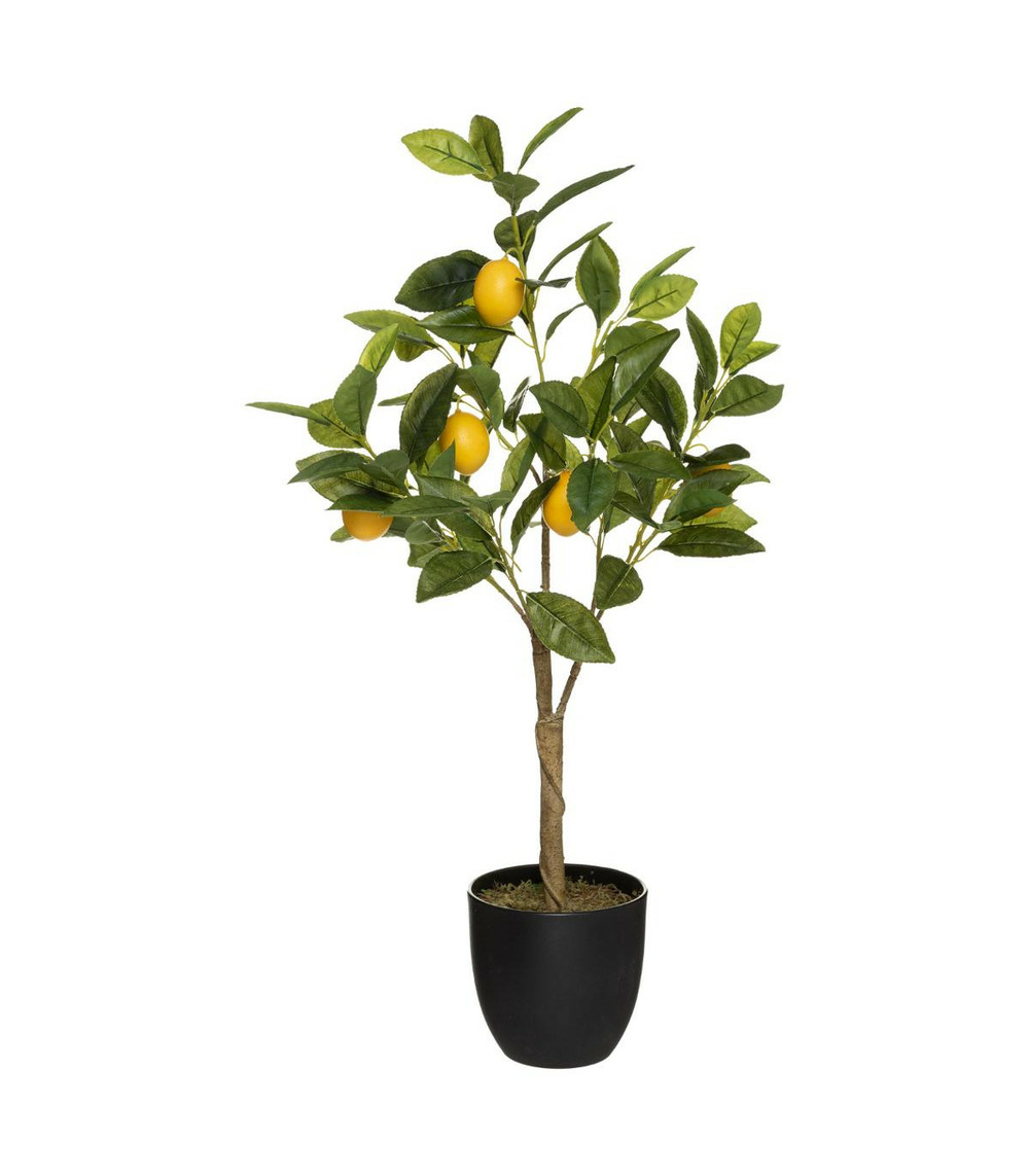 Plante artificielle citronnier en pot h 73 cm