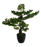 Plante artificielle bonsaï en pot h 80 cm