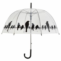 Parapluie transparent noir oiseaux sur un fil