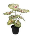 Plante artificielle caladium en pot d. 34 x h. 41 cm