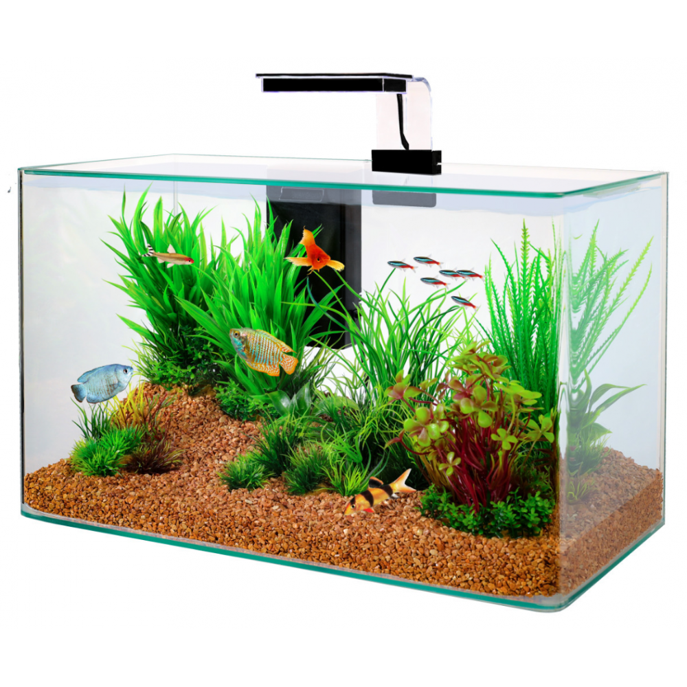 Kit aquarium aqua clear 50