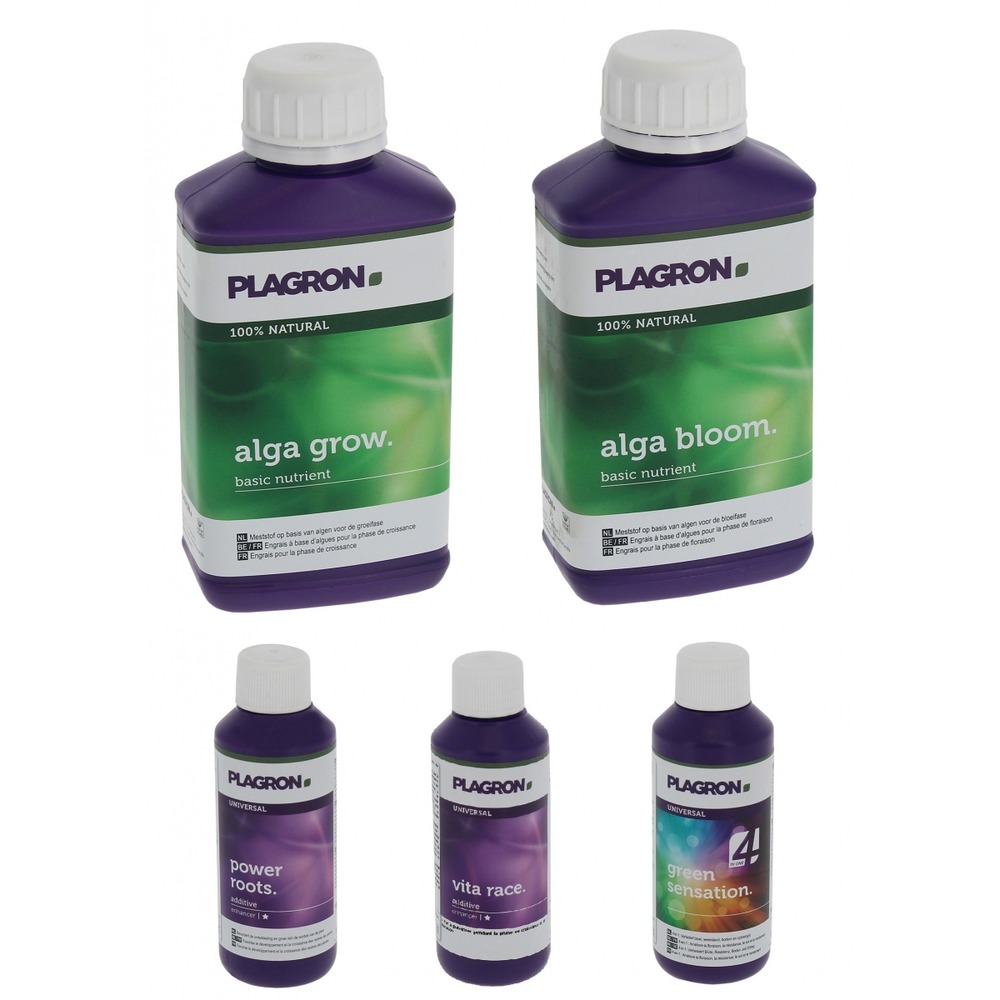 Pack engrais alga  250ml + stimulants