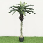 Arbre palmier cycas artificiel en pot plastique, 170cm