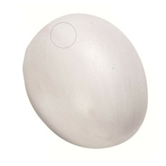 Un faux œuf de poule en plastique pour volaille