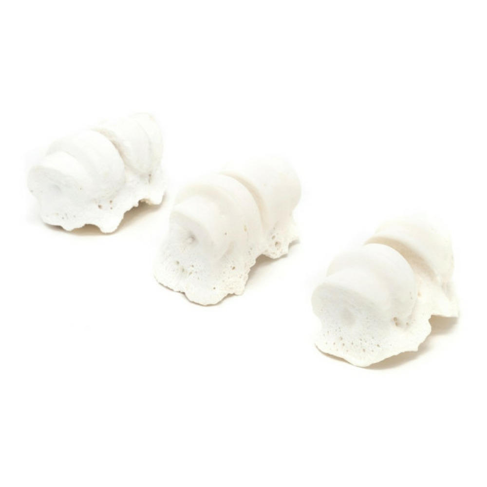 Snack pour chiens articulations calcium