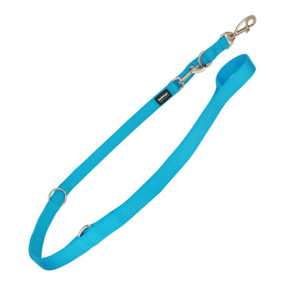 Laisse pour chien turquoise (2 x 200 cm)