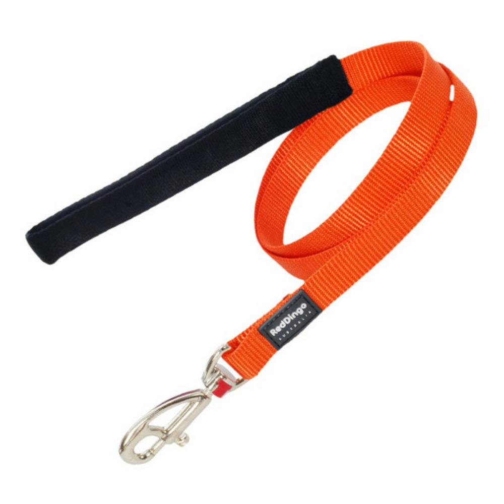 Laisse pour chien orange (2.5 x 120 cm)
