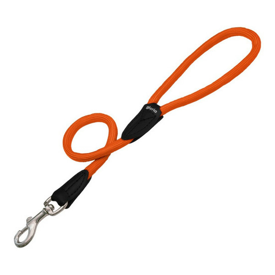 Laisse pour chien 1.2 x 60 cm orange