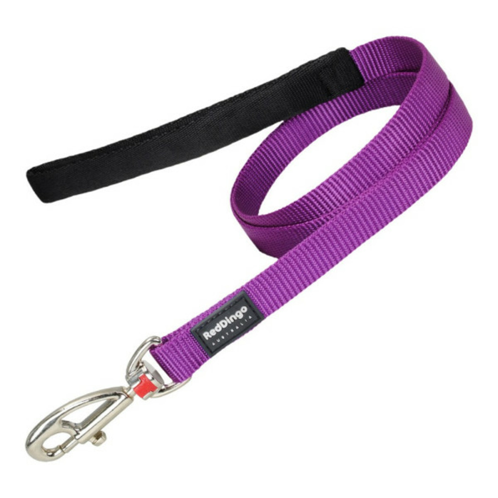 Laisse pour chien  violet (1,5 x 120 cm)