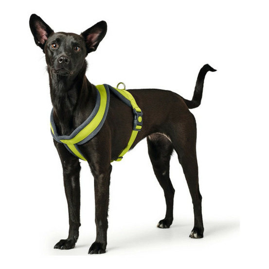 Harnais pour chien london comfort xs-s 39-47 cm citron
